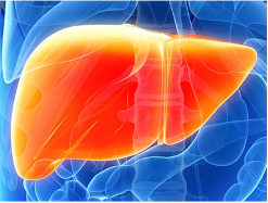 hepatite